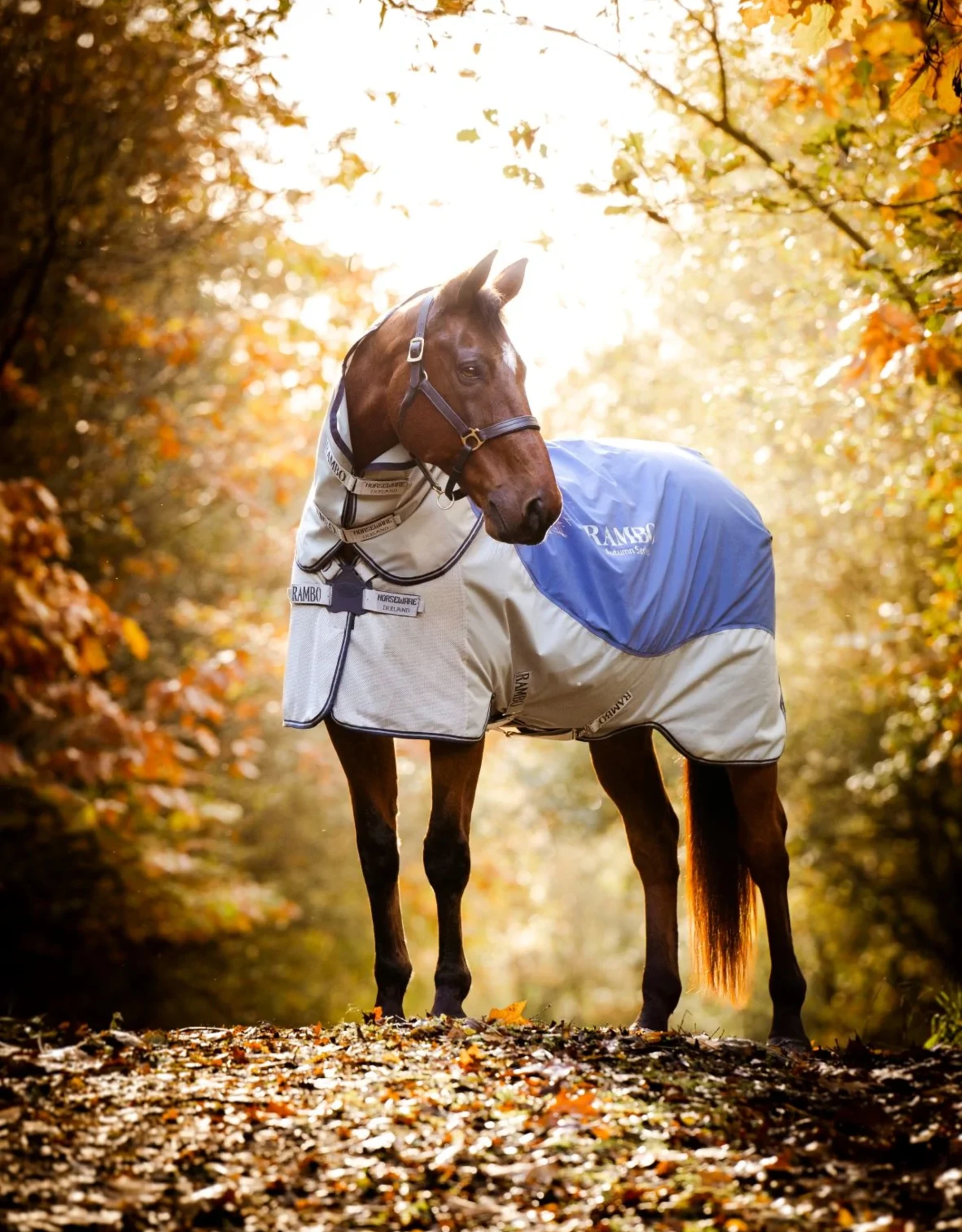 Horseware Ireland Rambo Autumn Series 1 Horseware Ireland Rambo Autumn Series