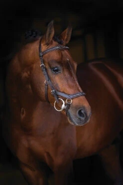 Horseware Ireland Rambo Micklem Deluxe Competition Bridle