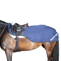 Back On Track Sammy Exercise Rug